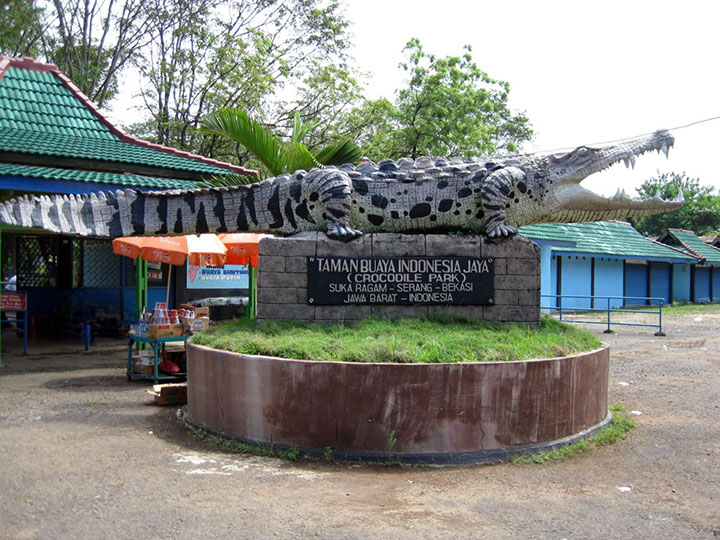 Tour Seru Taman Buaya Indonesia Jaya, Solusi Transportasi Nyaman dengan Rental Mobil Bekasi