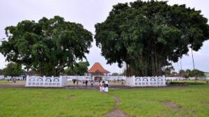 Alun-Alun Pohon Beringin Kembar di Yogyakarta: Sejarah, Mitos dan Atraksi