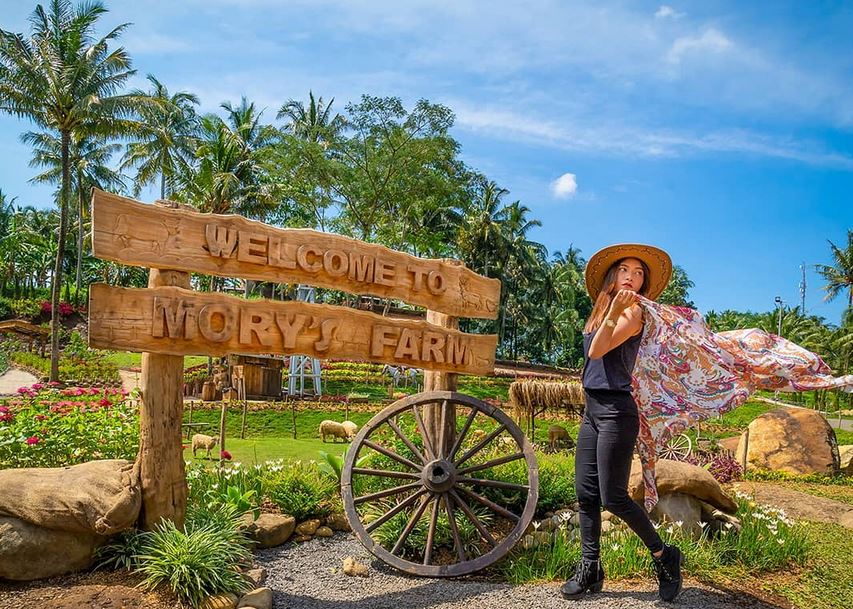 Cimory On the Valley Wisata Keluarga yang Wajib Kamu Kunjungi di Semarang